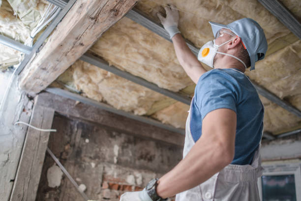 Best Fiberglass Insulation  in Leisure World, MD